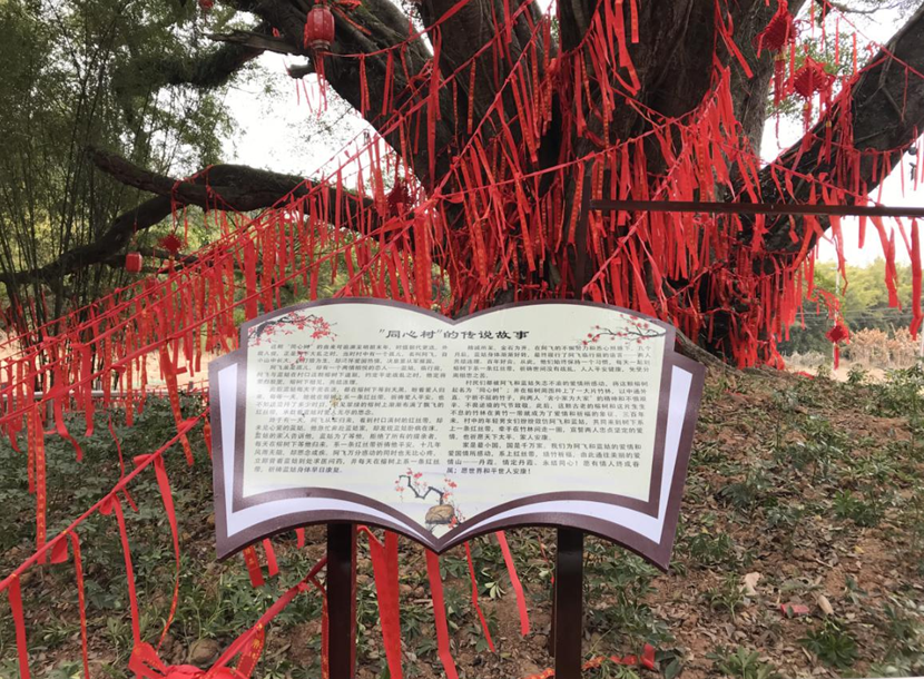 同心树传说.png