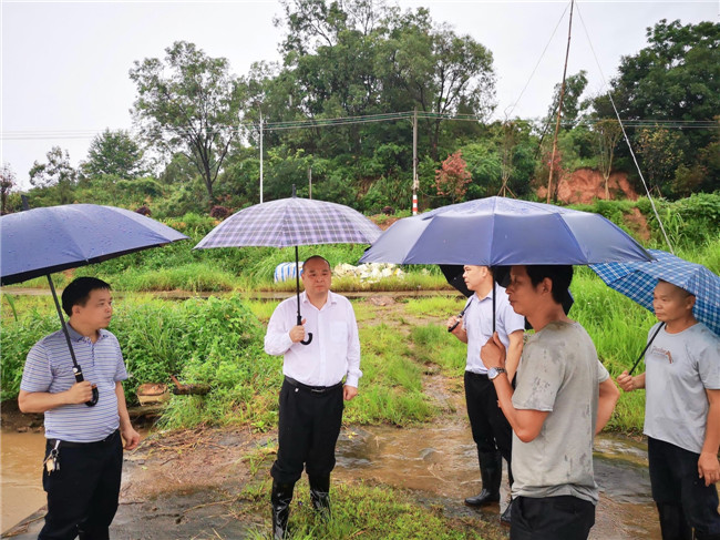 6月19日早晨，区委陈来安书记到十里亭镇、犁市镇等地指挥督导群众转移、城市内涝疏通等防汛工作。.jpg