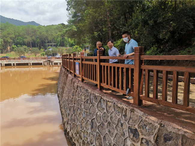 鲁锦锋实地察看临水堤岸汛后风险排查落实情况.jpg
