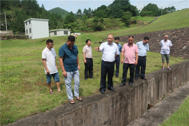 陈来安书记实地察看西牛潭水库集渗渠的运行情况。.JPG