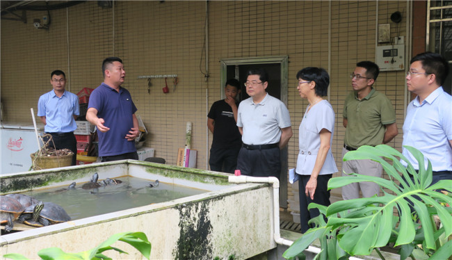 市政协副主席王德雄实地察看特色产业基地.JPG