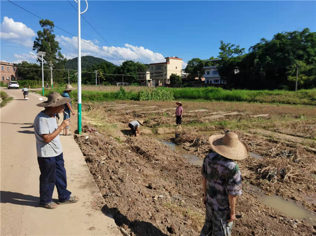 村民在田间萎庄稼、杂草，并进行田间排水.jpg