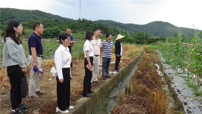 6月30日，浈江区纪委监委到花坪镇开展营商环境监督检查.JPG