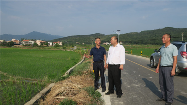 陈来安听取区农业农村局负责人关于晚稻栽插完成情况工作汇报.JPG