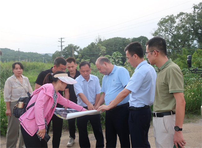 调研组察看园区涉及地块图纸.jpg