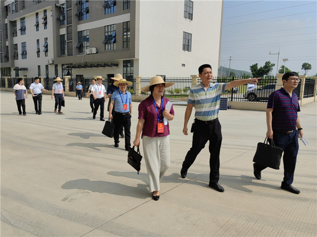 浈江区人大调研专项债券项目建设情况.jpg