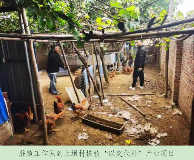 乐园图1.png