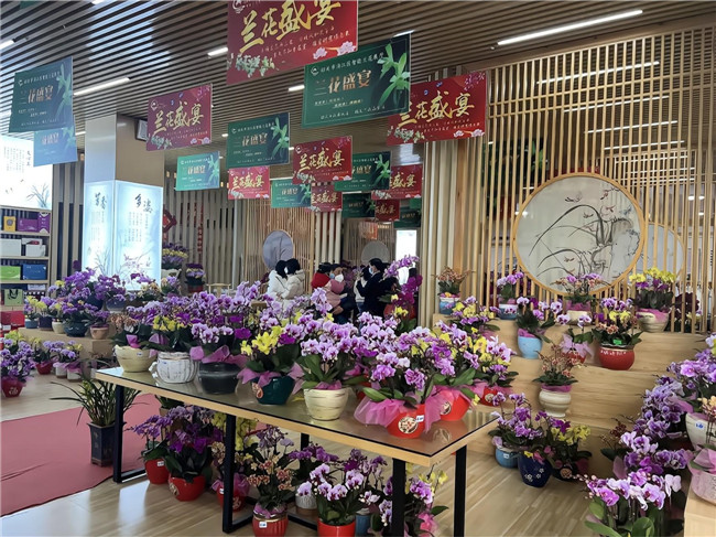 智能兰花展厅现场.jpg