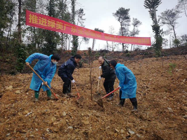 区主要领导参加韶关国家森林公园（莲花山）义务植树活动.jpg