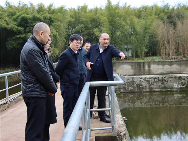 调研组到新韶镇黄浪水村调研农村桥梁改造工作情况.JPG