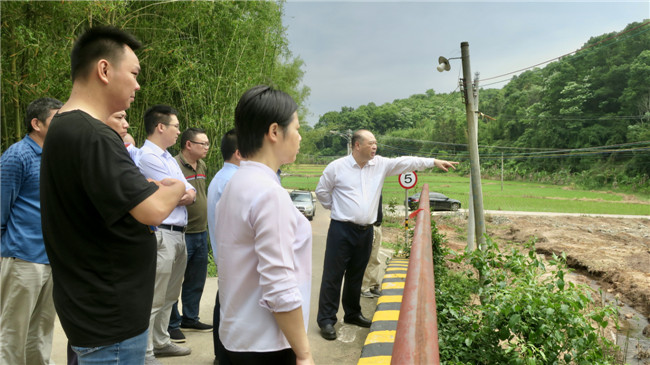 调研组到犁市镇调研碧道建设工作情况.jpg