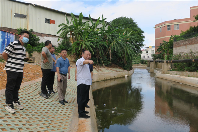 陈来安一行实地察看冷水坑城市污水管网运行情况。.JPG