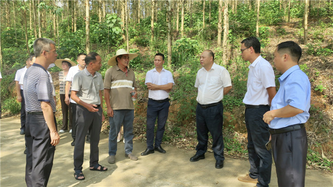 2陈来安一行深入犁市镇下陂村调研.jpg