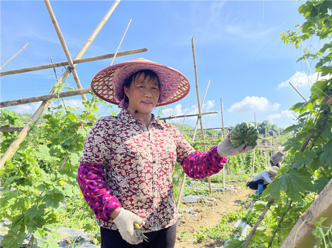 花坪镇供港蔬菜示范基地2.jpg