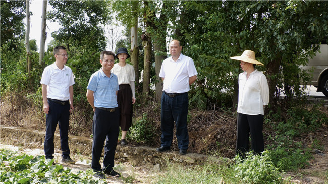 调研组在犁市镇现场察看活动场地选址情况2.jpg