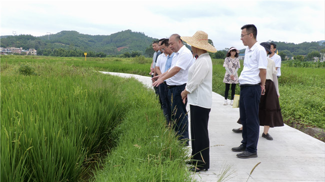 调研组在犁市镇现场察看活动场地选址情况1.jpg