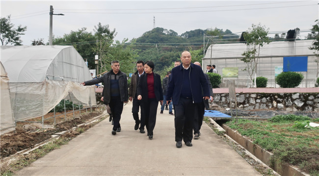 陈来安一行实地调研十里亭镇湾头村三雄农业科技发展公司4.jpg