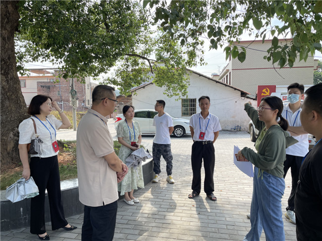 犁市镇组织三级代表调研农村人居环境整治提升.jpg