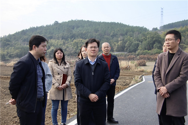 调研组一行在花坪镇察看“高标农田建设，小田变大田试点“项目建设推进情况.jpg