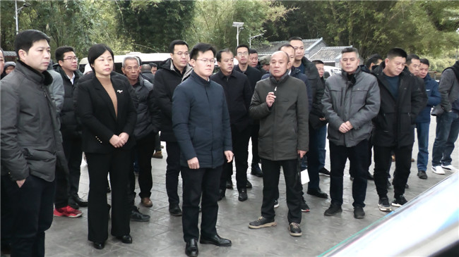 （用这张）鲁锦锋一行在十里亭镇湾头村了解绿美乡村建设工作情况.jpg
