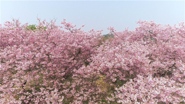 QQ____20240124101730.jpg