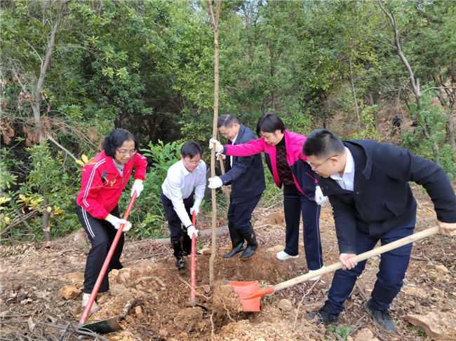 韶关国家森林公园新春植树活动现场。.jpg