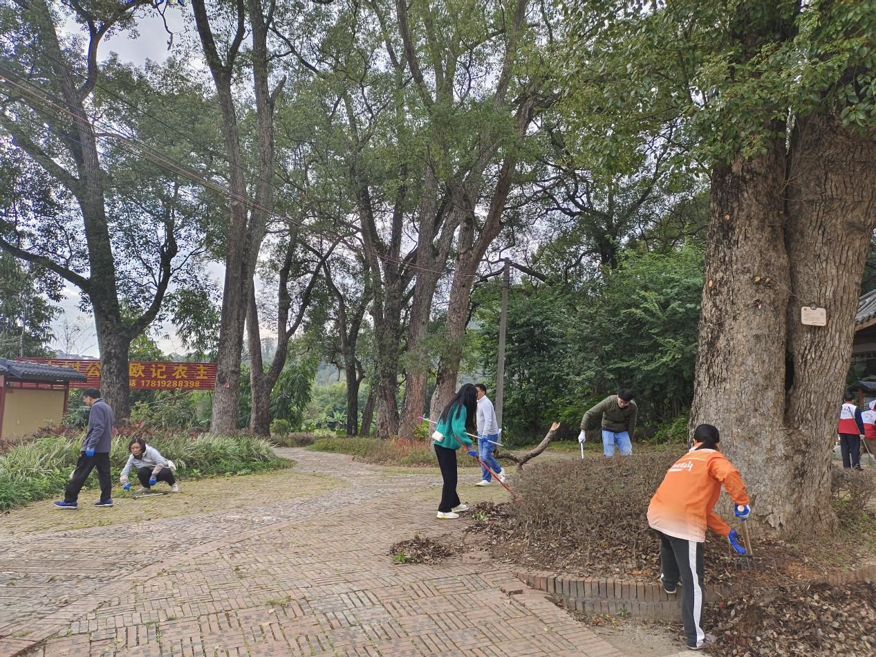 图片6：水口村古樟树公园.png