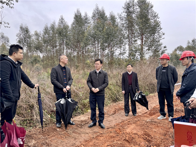 在犁市镇内腾村，鲁锦锋实地调研灌区改造项目建设情况。.jpg