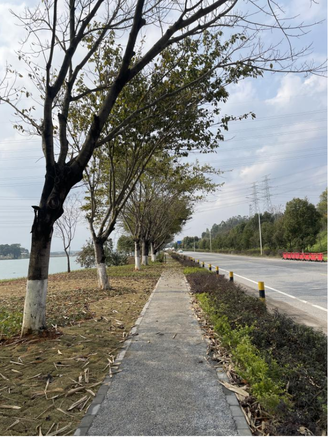 圩镇入口慢行步道1.png