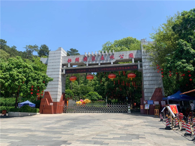韶关国家森林公园1.jpg