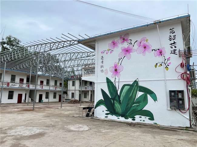 原新韶镇大陂小学旧校舍化身兰花培育基地1.jpg
