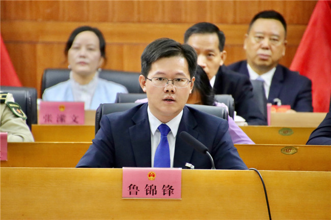 区委书记鲁锦锋讲话.JPG