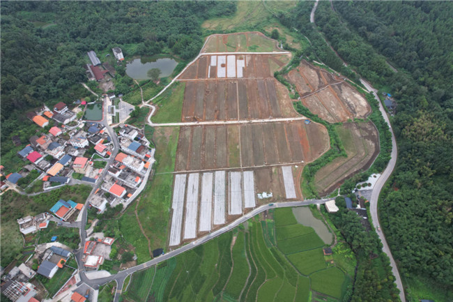 花坪村稻果蔬轮作基地三期项目。.jpg