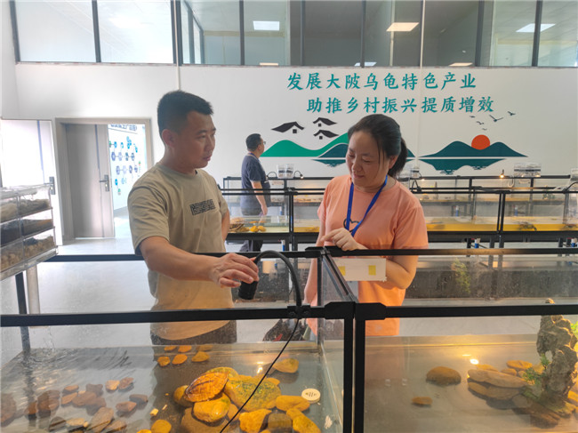 专家现场指导1.jpg