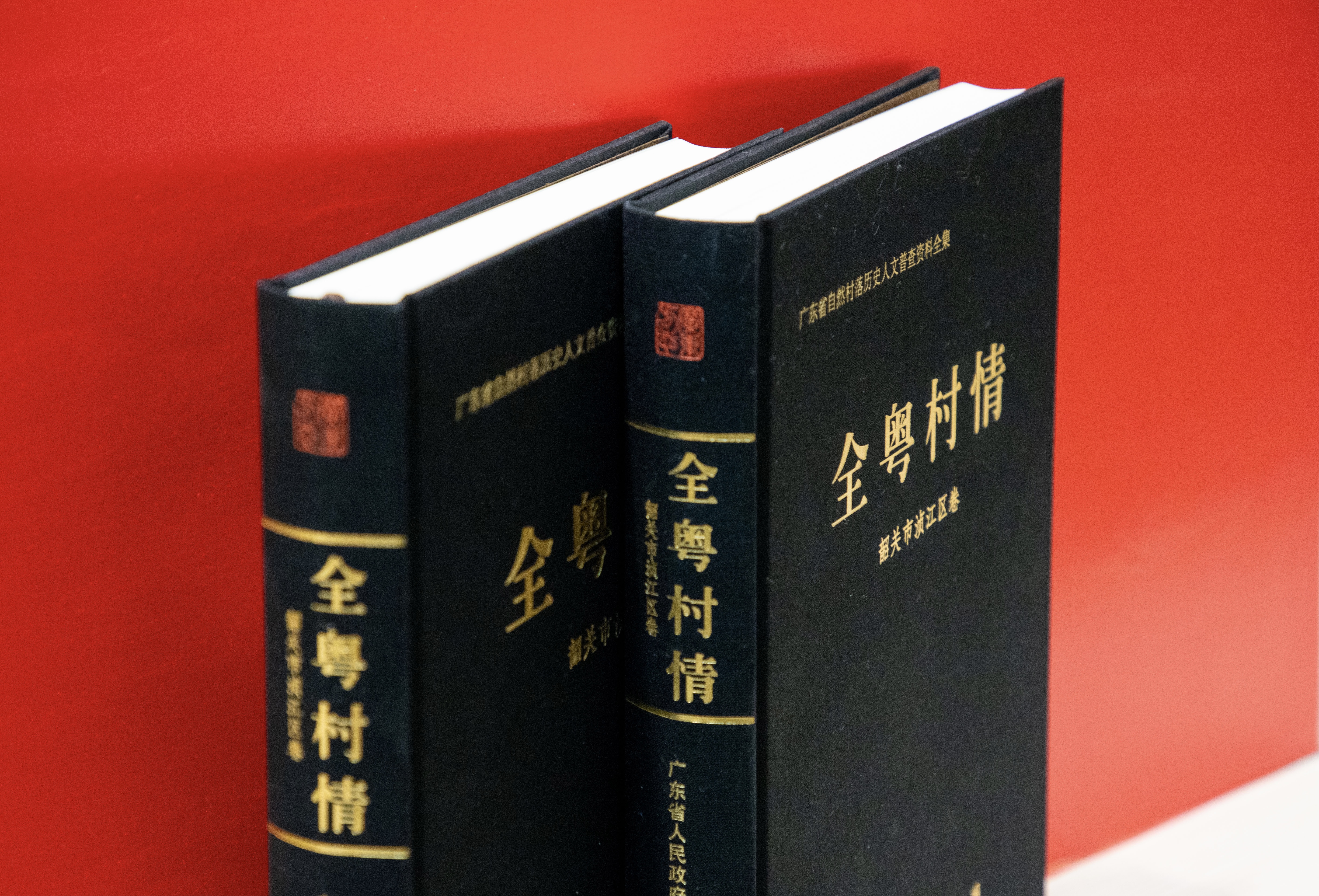 图为《全粤村情&middot;韶关市浈江区卷》 (2).jpg