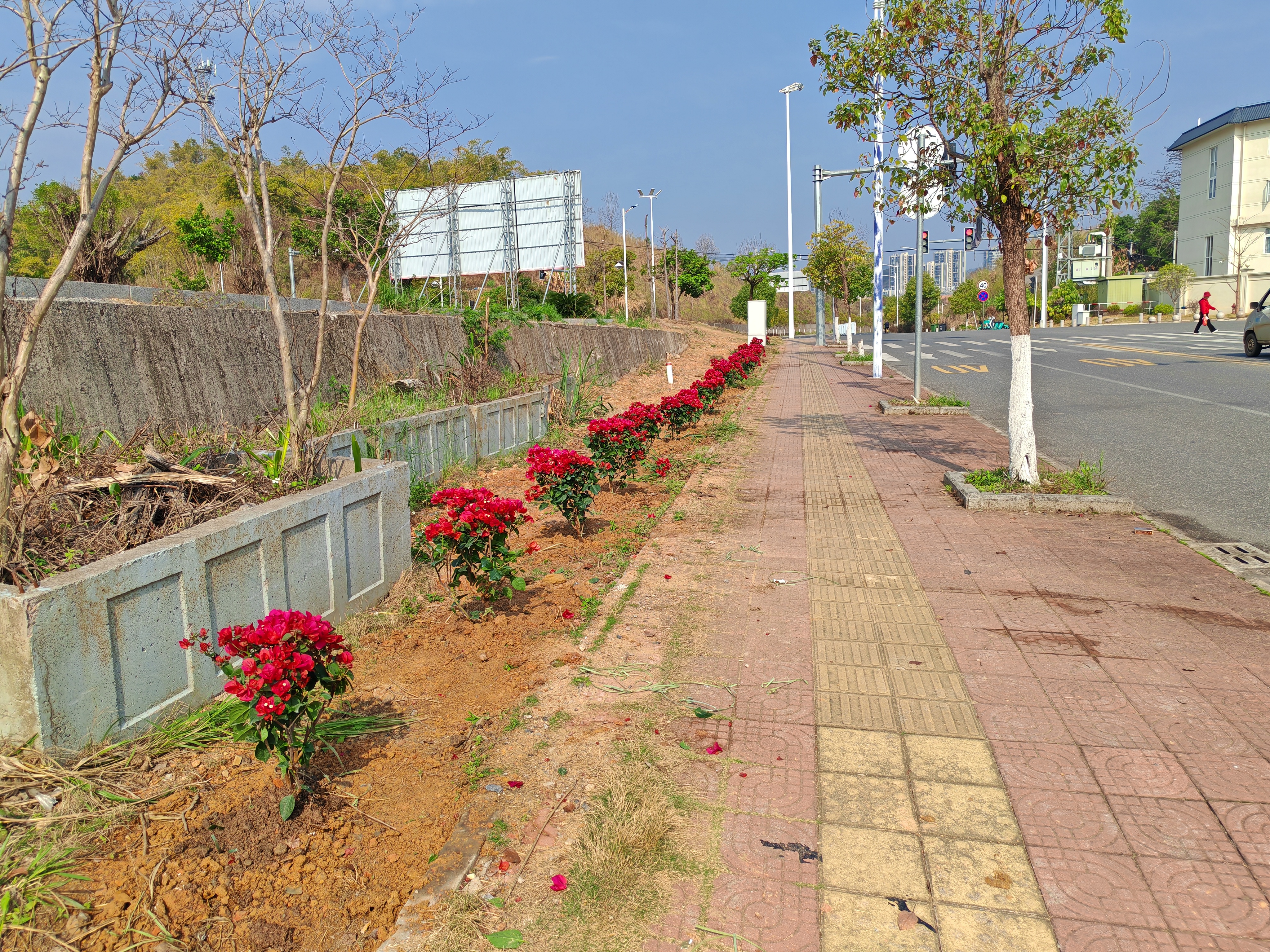 8ccec8615fed353189e79c0449bad29.jpg