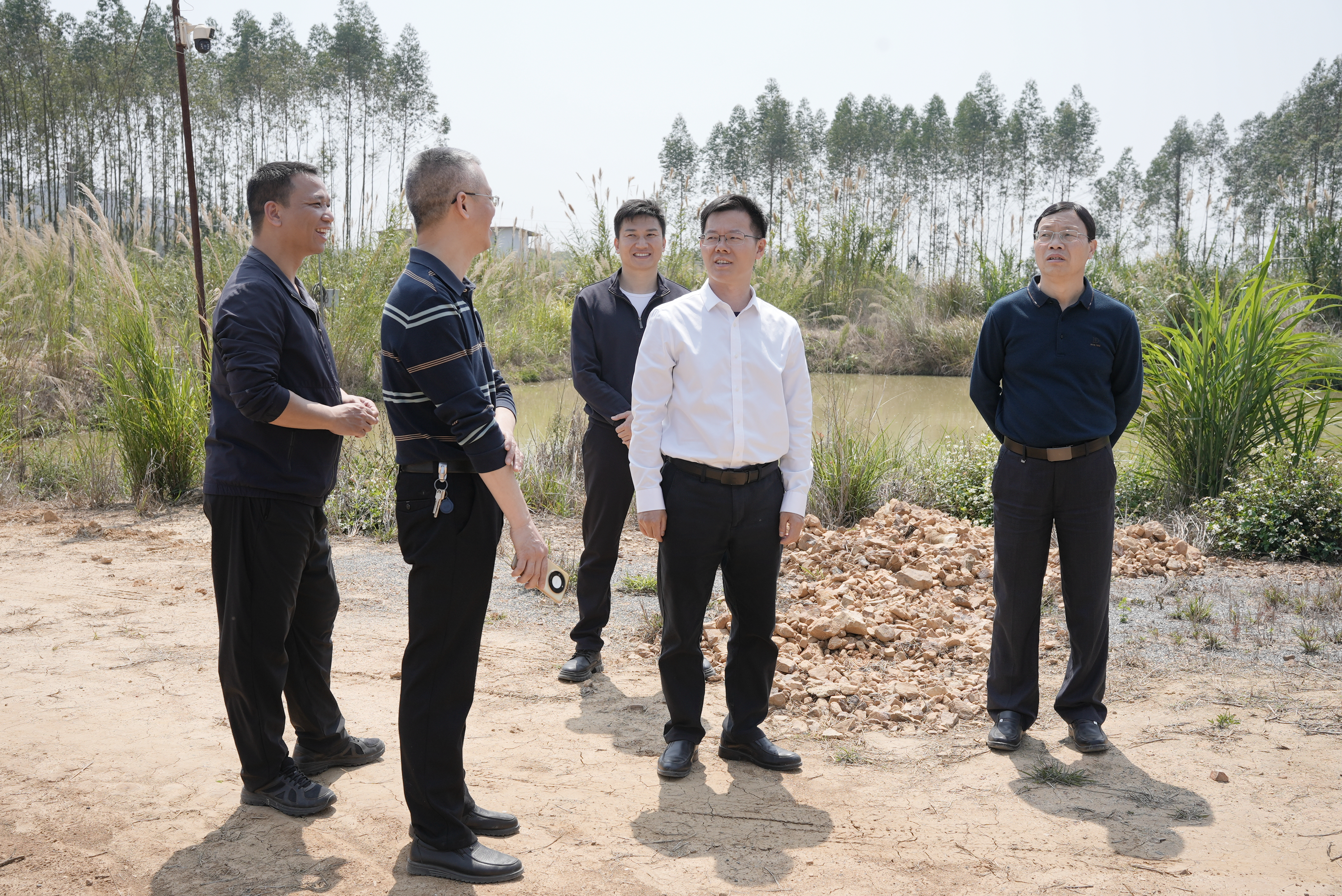 鲁锦锋调研基层党组织建设、春耕备耕、“小田变大田”等工作