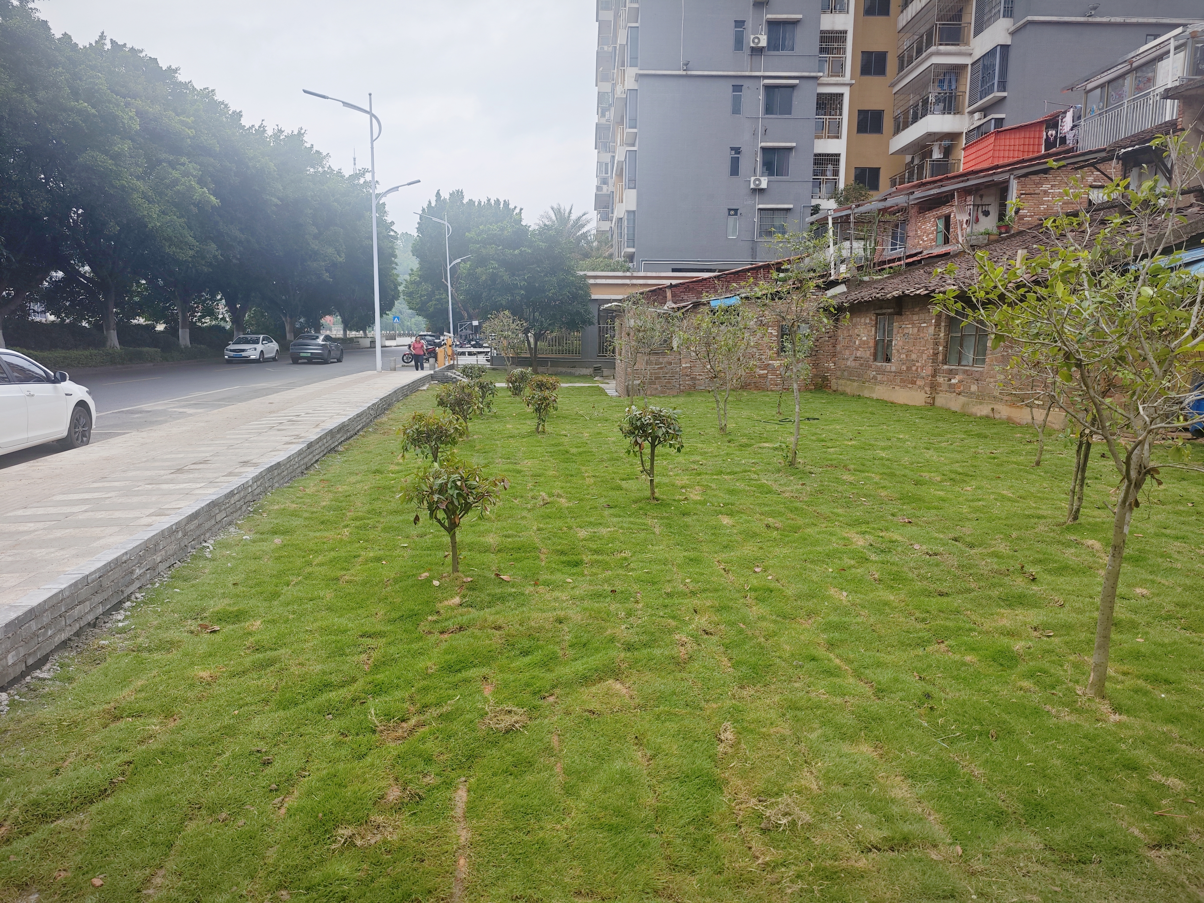 东河.jpg