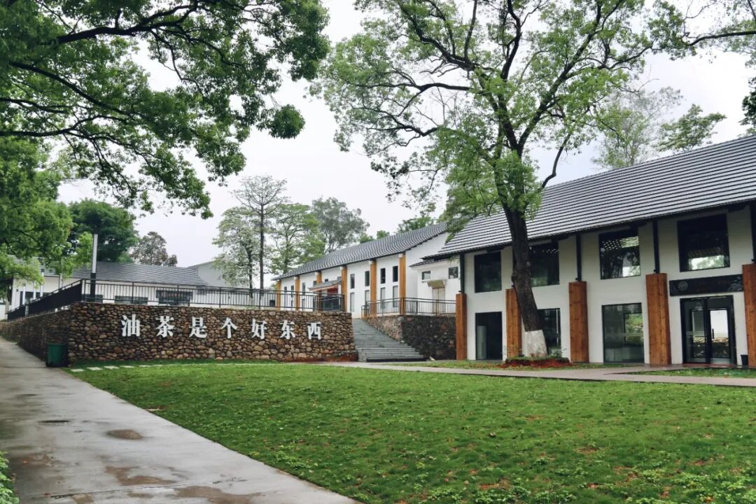 位于大村村的友丰油茶产业园。.jpg