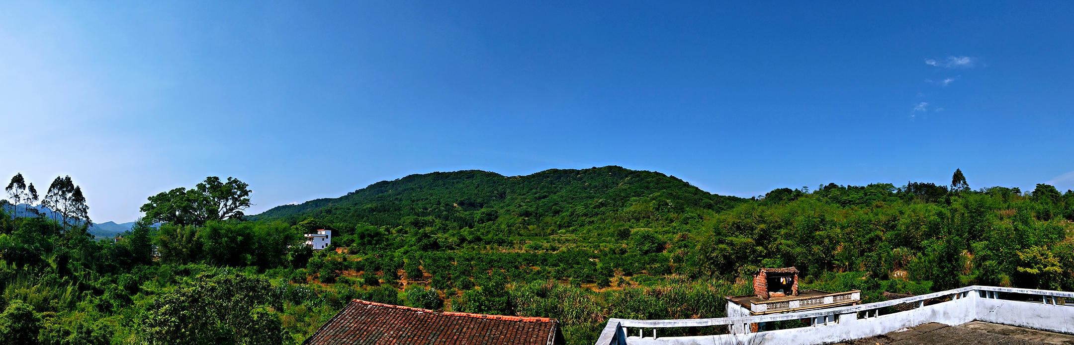 1.奎塘姚屋——红七军小长征宿营地遗址现状全景.jpg