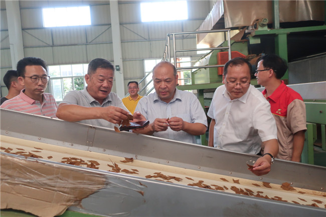 区委书记陈来安到产业园调研协调解决企业经营难题助推企业健康发展